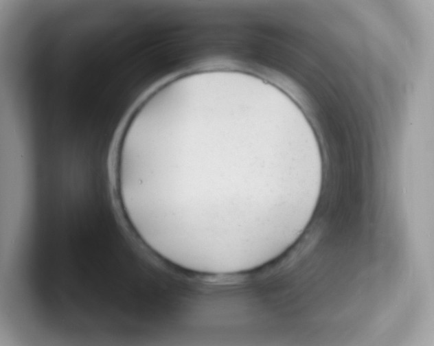 X0000101481008200807281036