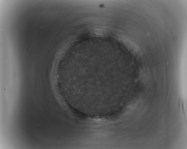 X0000101481009200807281035