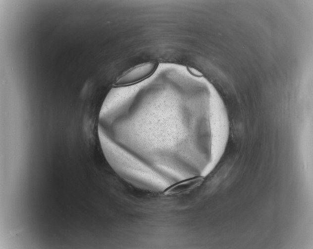 X0000101481010200807281035