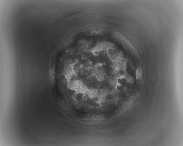 X0000101481011200807281035