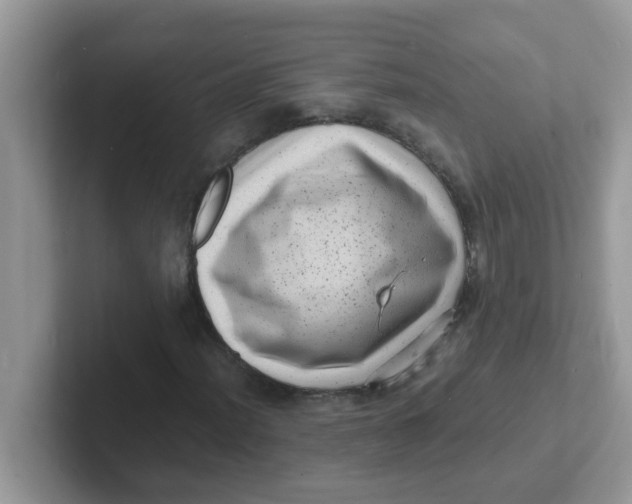 X0000101481012200807281035