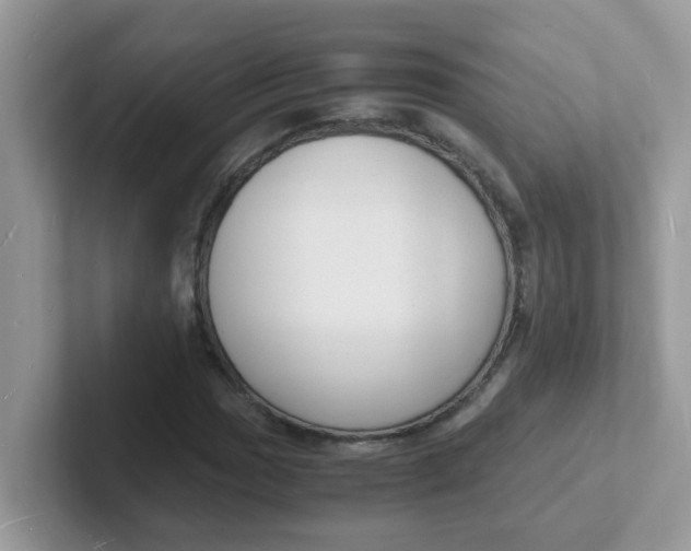 X0000101481017200807281035