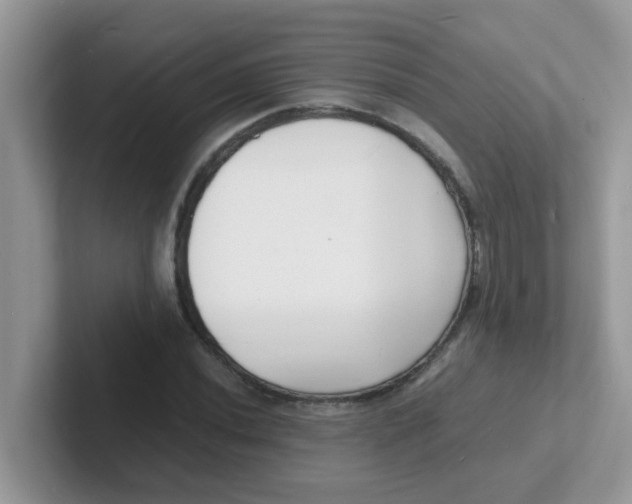 X0000101481020200807281035