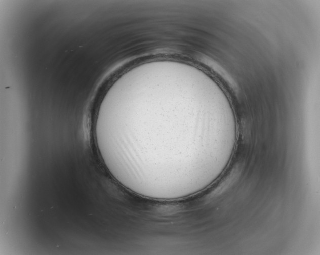 X0000101481021200807281035