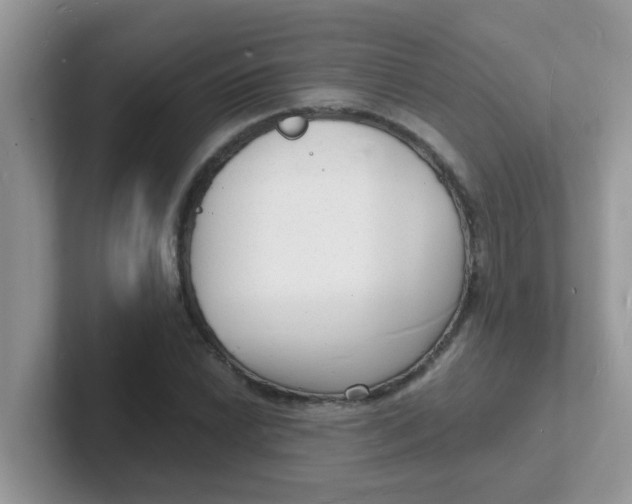 X0000101481022200807281035