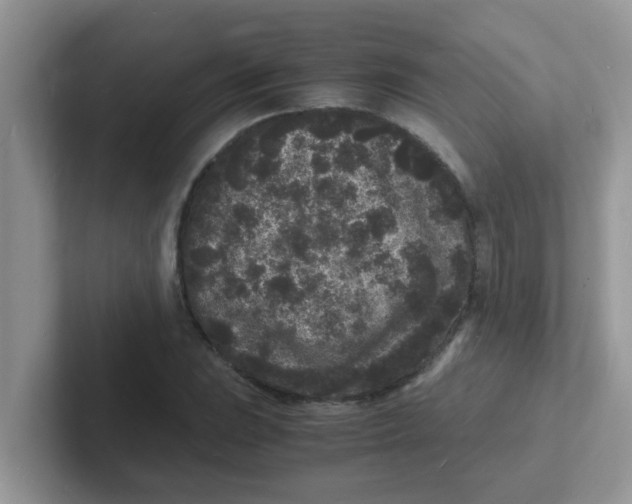 X0000101481023200807281035