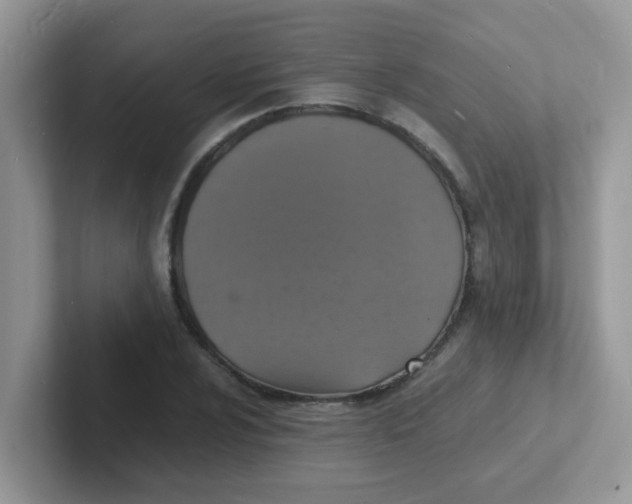 X0000101481024200807281035