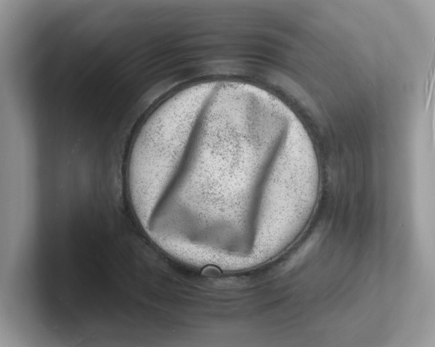 X0000101481025200807281035