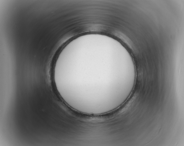 X0000101481026200807281035