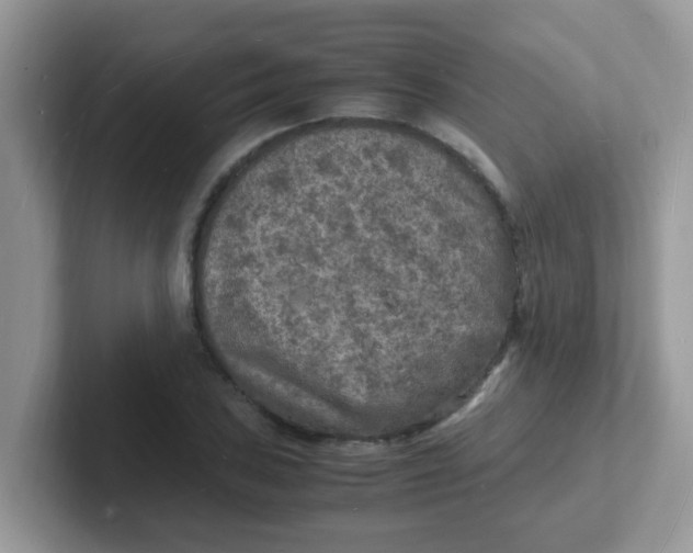 X0000101481027200807281035