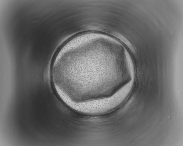 X0000101481028200807281035