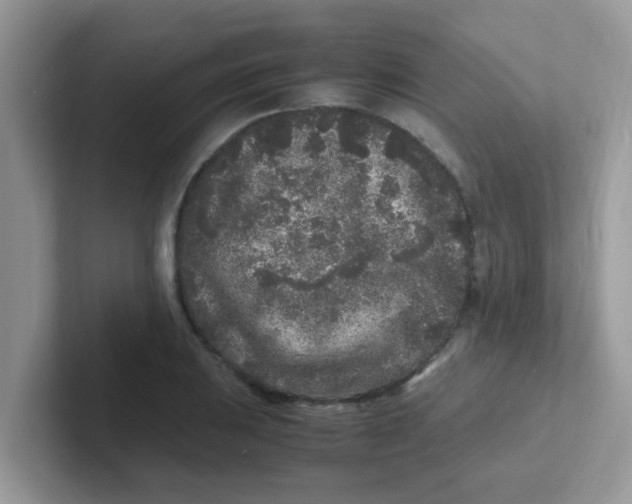 X0000101481031200807281035