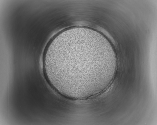 X0000101481032200807281035