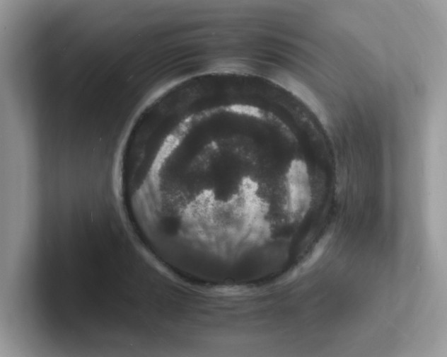 X0000101481037200807281035