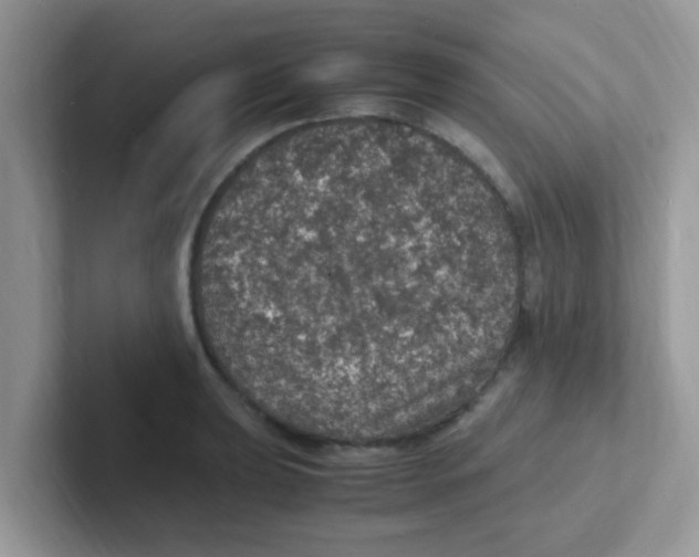 X0000101481039200807281035