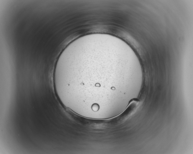 X0000101481041200807281035