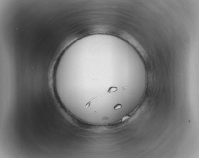 X0000101481042200807281035