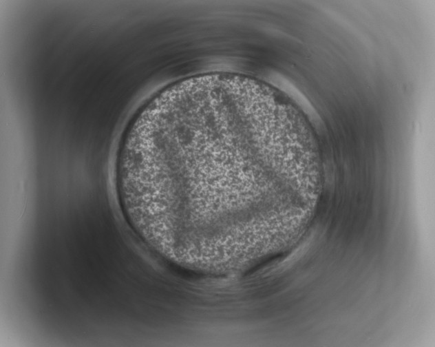 X0000101481043200807281035