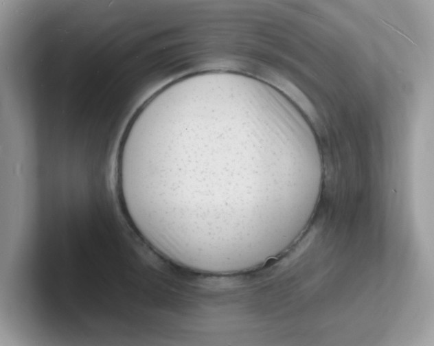 X0000101481044200807281035