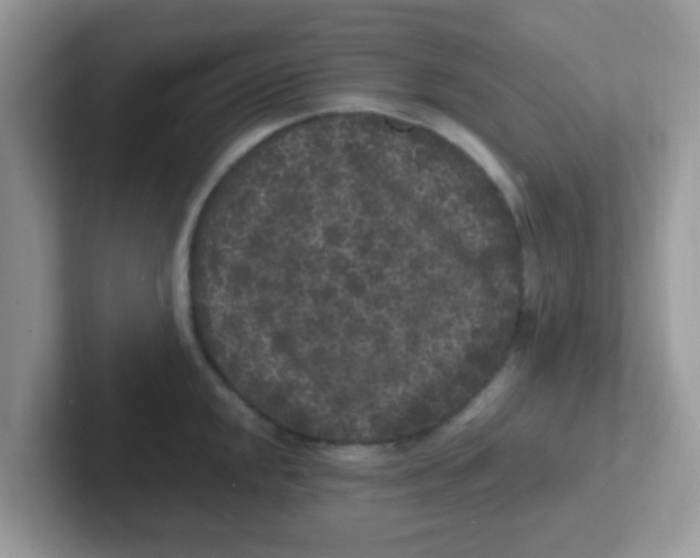 X0000101481048200807281035