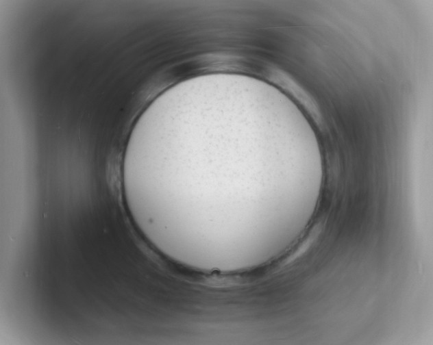 X0000101481049200807281035