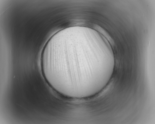 X0000101481050200807281035