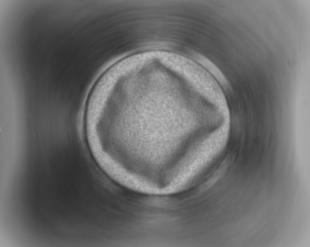 X0000101481052200807281035