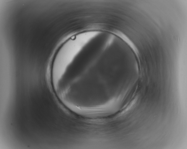 X0000101481053200807281035