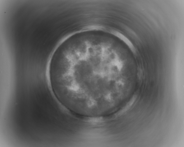 X0000101481055200807281035