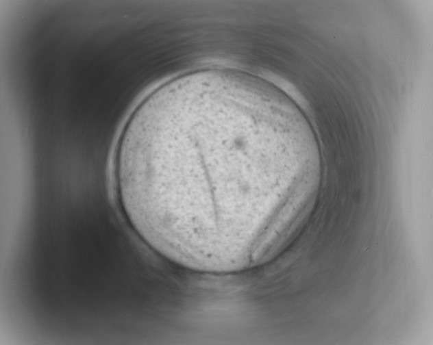 X0000101481056200807281036