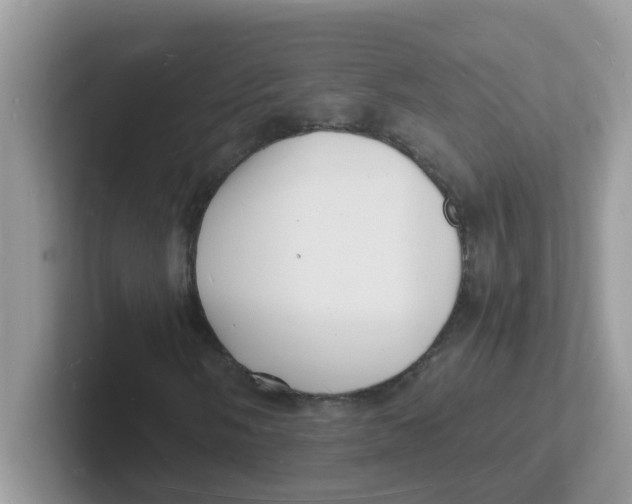 X0000101481058200807281035