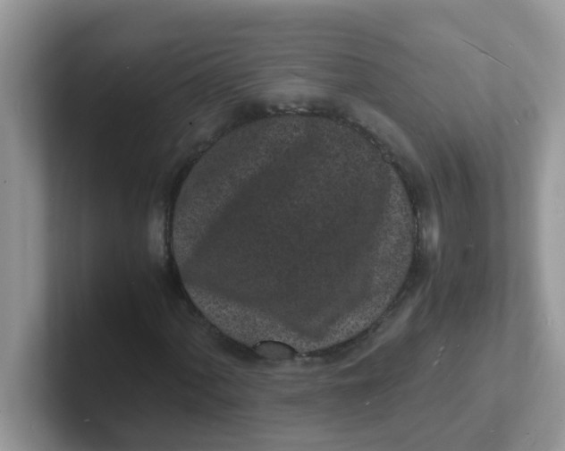 X0000101481060200807281035