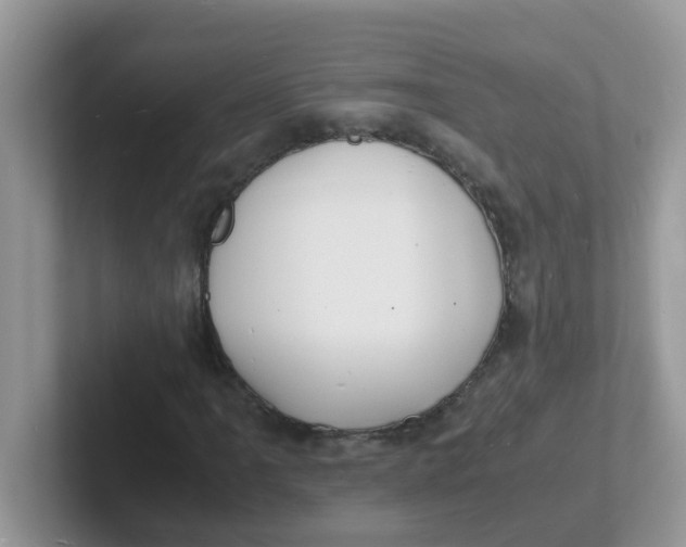 X0000101481061200807281035