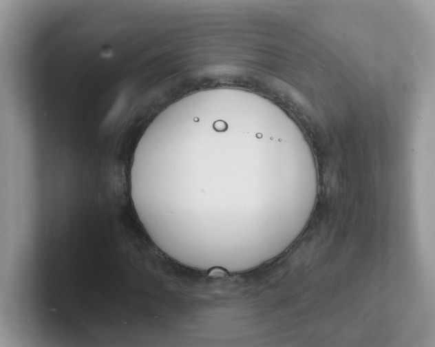 X0000101481062200807281035