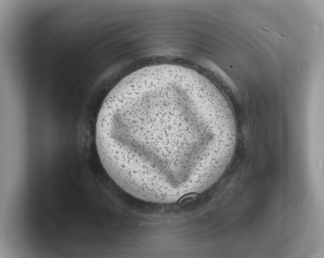 X0000101481064200807281035