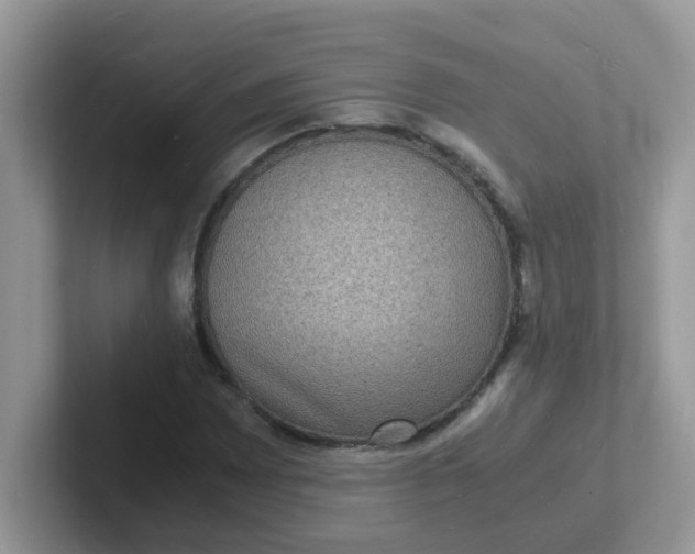 X0000101481065200807281035