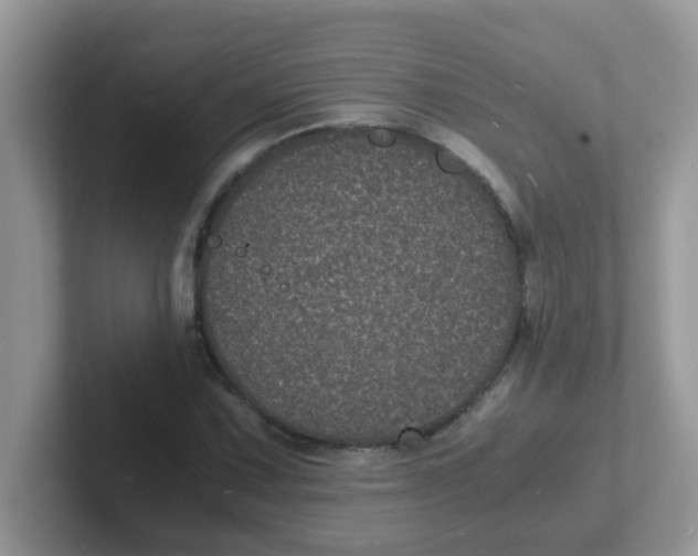 X0000101481067200807281035