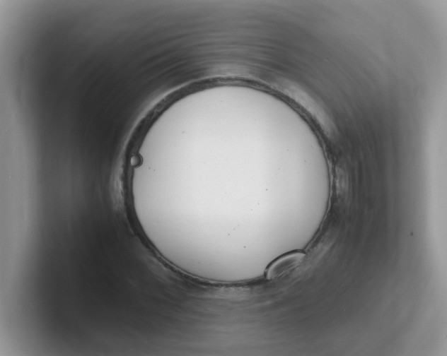 X0000101481068200807281035