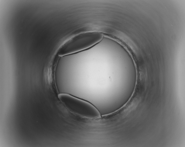 X0000101481069200807281035