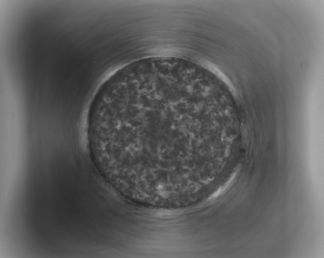 X0000101481071200807281035