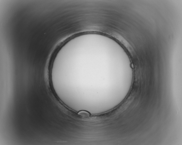 X0000101481072200807281035