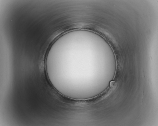 X0000101481073200807281035