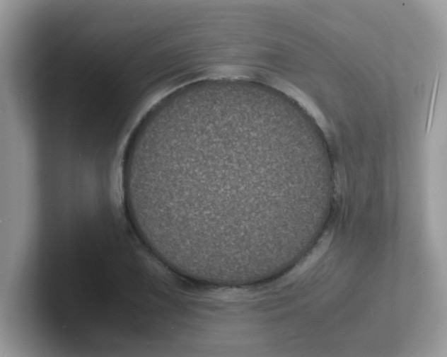 X0000101481075200807281035