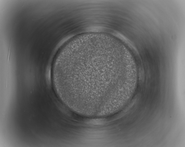 X0000101481078200807281035