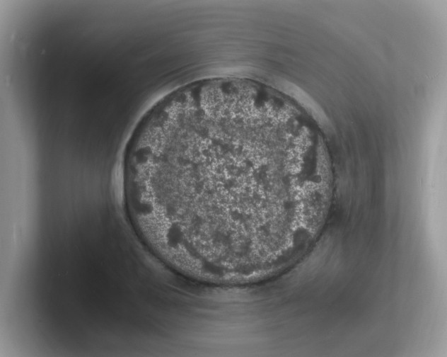 X0000101481079200807281035