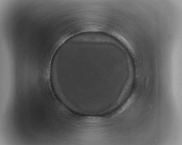 X0000101481081200807281035