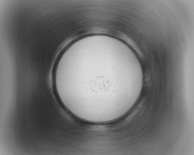 X0000101481082200807281035