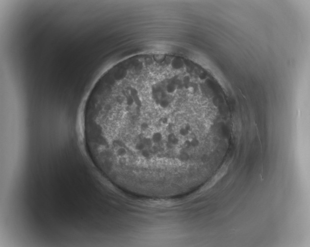 X0000101481083200807281035