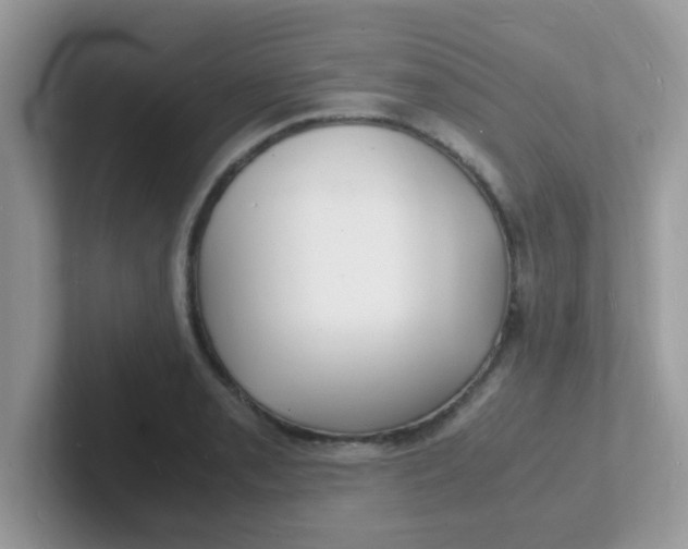 X0000101481085200807281035