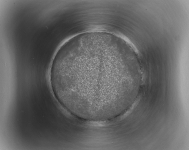 X0000101481086200807281035